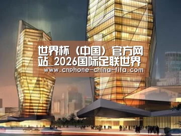 案例展示三