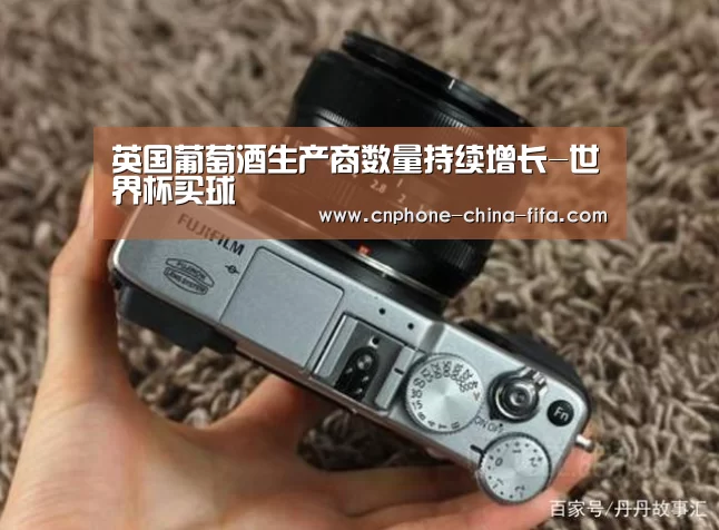 英国葡萄酒生产商数量持续增长-世界杯买球(图2) 世界杯买球