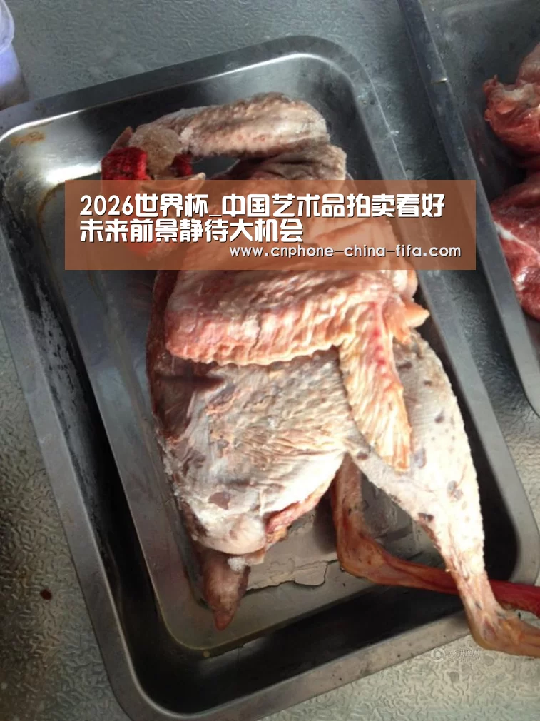 2026世界杯官网