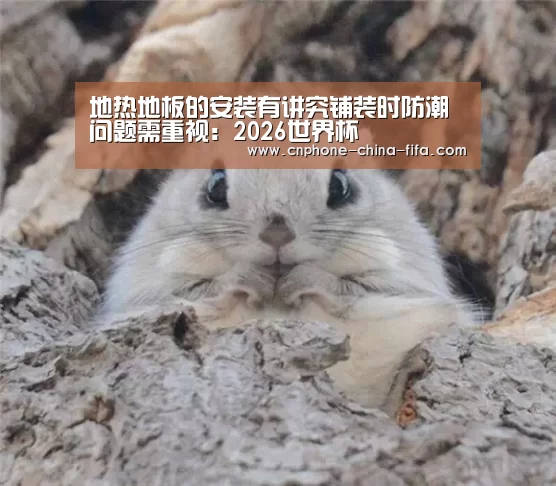 世界杯买球