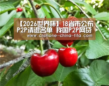 世界杯买球