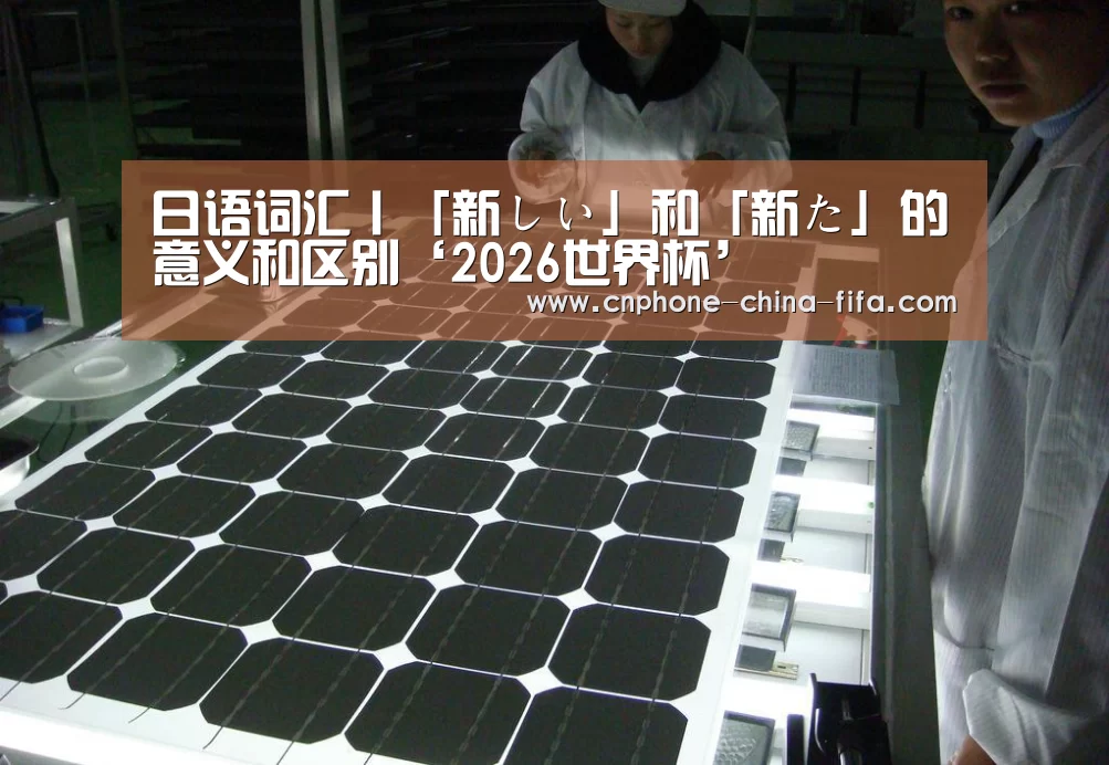 2026世界杯官网