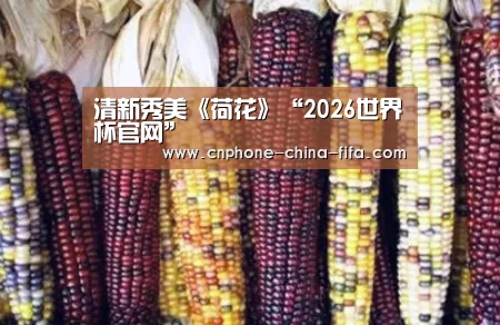 2026世界杯官网