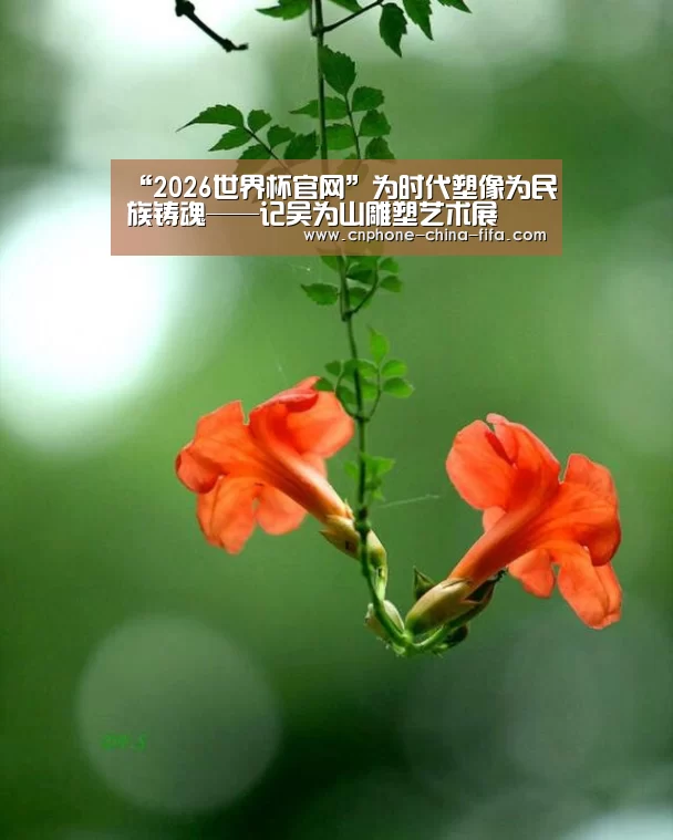 世界杯买球