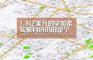 1.8亿美元的毕加索买家身份仍旧是个谜_2026世界杯(图2) 世界杯买球