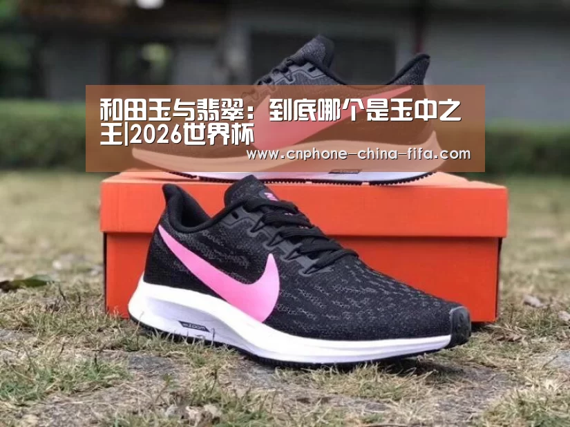 2026世界杯官网