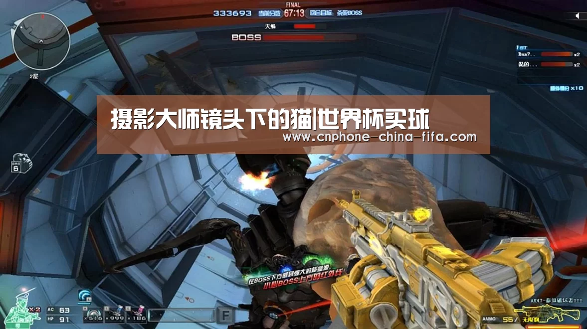 摄影大师镜头下的猫|世界杯买球(图1) 2026世界杯官网