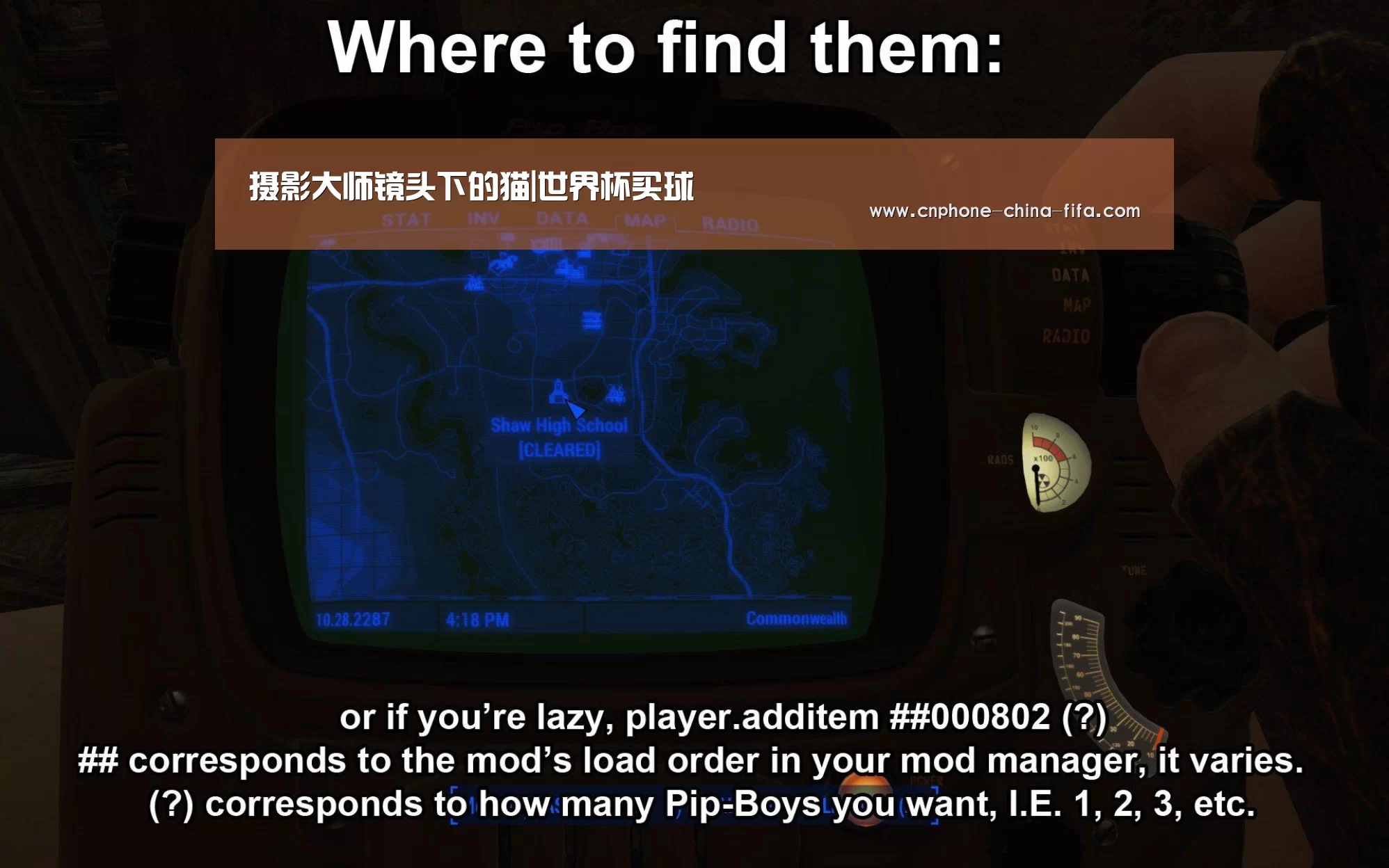 摄影大师镜头下的猫|世界杯买球(图3) 世界杯买球