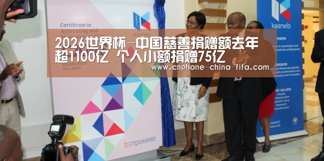 2026世界杯-中国慈善捐赠额去年超1100亿 个人小额捐赠75亿(图2) 世界杯买球