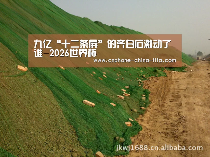 九亿“十二条屏”的齐白石激动了谁-2026世界杯(图3) 2026世界杯官网