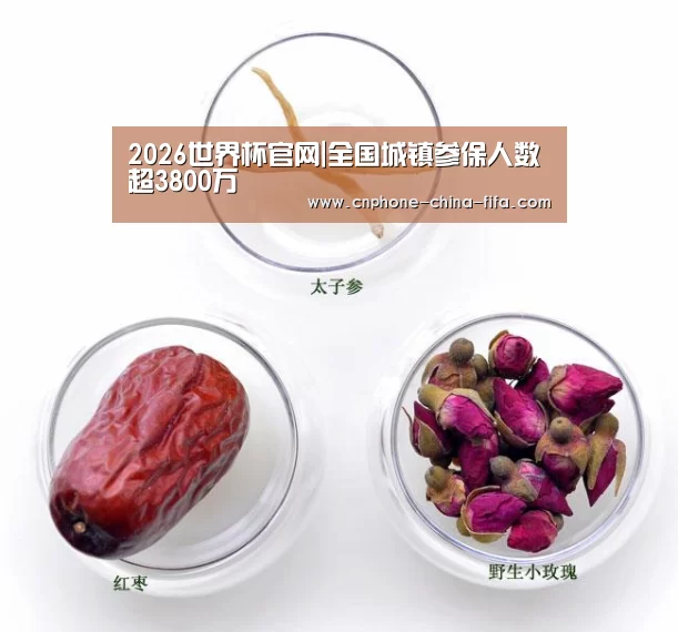2026世界杯官网|全国城镇参保人数超3800万(图2) 世界杯买球